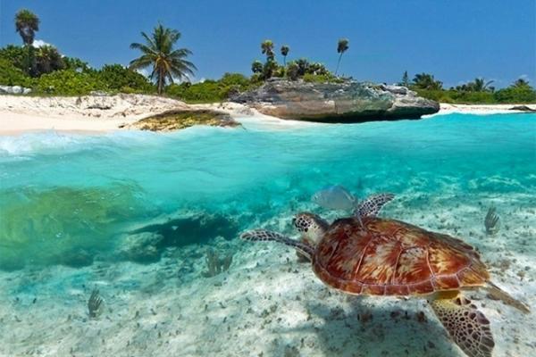 Kuwa Zanzibar Aparthotel Kiwengwa  Esterno foto